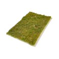thumbnail image 3 of MERIGLARE Miniature Grass Cluster Miniature Plants Model Grasses for Sand Layout Model C, 3 of 9