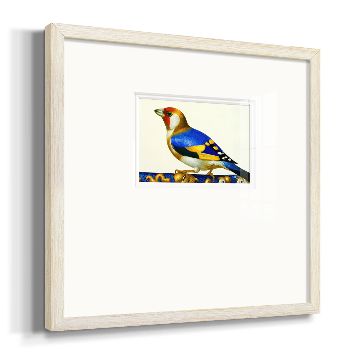 Blue Gold FinchPremium Framed Print