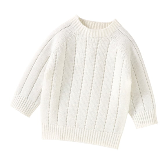 NOEGOEU Toddler Baby Boys Girls Sweater Crewneck Knit Long Sleeve Casual Pullover 6M-3Y (White,12-18 Months)