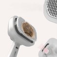 thumbnail image 4 of Pet Spray Comb, Charging Comb, Durable Hair Comb, Pet Hair Removal Spray Brush-sebneei, 4 of 4