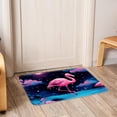thumbnail image 6 of Flamingo Polyester Non-Slip Machine Washable Floor Mat: Outdoor Carpet Floor Mats, 6 of 6
