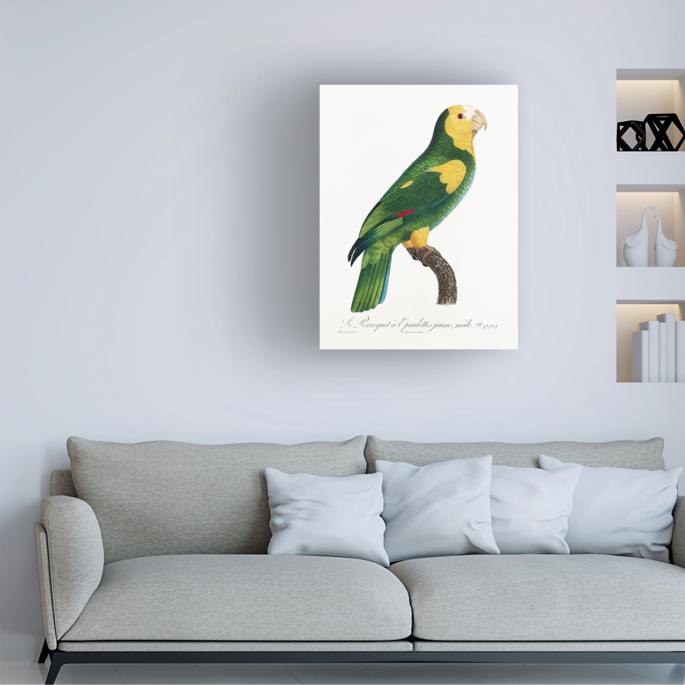 Trademark Fine Art Francois Levaillant  Levaillant Parrot III Canvas Wall Art