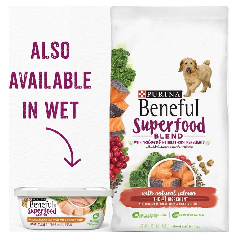 Purina Beneful Natural Dry Dog Food Superfood Blend With Salmon