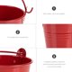 thumbnail image 3 of IDEANATEGRATE 5Ud Maceta De Hierro Para Plantas Decorativas Resistente Y Color Para Hogar Y Jardín, 3 of 6