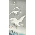 thumbnail image 2 of Koson, Ohara 18x32 White Modern Wood Framed Museum Art Print Titled - Descending egrets in snow, 2 of 4