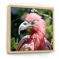 thumbnail image 2 of Designart "Flamingo in Photographic Splendor I" Animals Framed Wall Art - Traditional Green Flamingo Entryway Framed Wall Art, 2 of 6