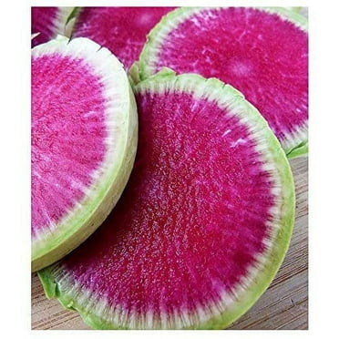 Exotic Radish Watermelon Seeds for Planting - 250  Seeds - Rare Garden Vegetable Seeds