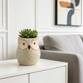 thumbnail image 5 of YiJuHui Owl Ceramic Flower Pot, Cute Succulent Planter for Small Plants, Decorative Indoor Outdoor Container, Cactus Herb Pot for Home Office Garden Decor, 5 of 6