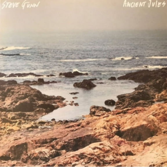 Steve Gunn - Ancient Jules - Vinyl