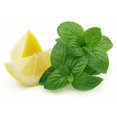 thumbnail image 2 of Graines d'Herbes Citron Menthe - non-OGM - 0,5 Gramme, 2 of 3