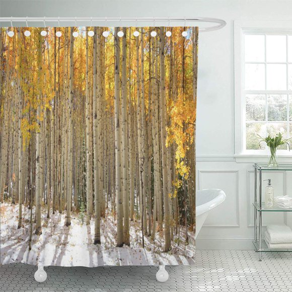XDDJA Bouleaux Noirs et Trembles dans la Neige Rideau de Douche de Début d'Hiver 66x72 Pouces