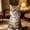 Light Purple, variant on Dog Cat Collar Reflective Breakaway Cat Collar with Cute Flower Decoration Adjustable Soft Nylon Safety Collar Escape-Proof Walking Gear for Indoor Outdoor Cats Spring