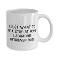 thumbnail image 2 of Funny Labrad Retriever Dog, I Just Want to Be a Stay at Home Labrad, Inappropriate Birthday 15oz Mug F Dog Dad, 2 of 2