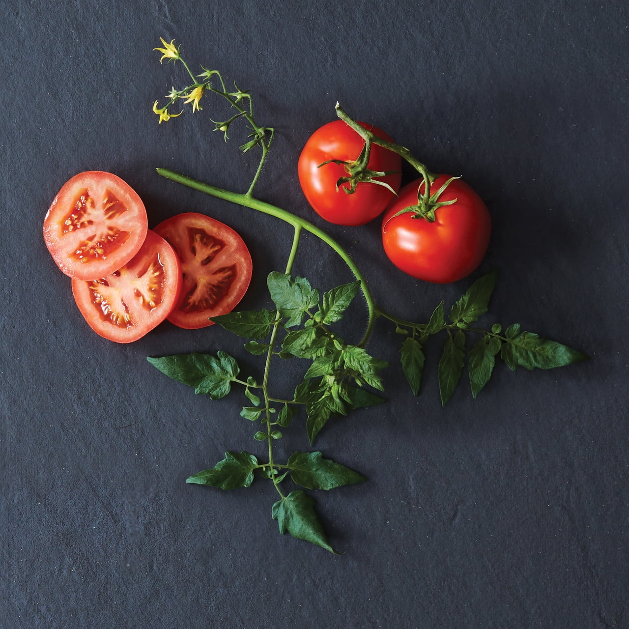 Expert Gardener 1Pt Beefsteak, Better Boy and Cherry Tomato Mix Annual Plant, 6-Pack