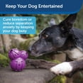 thumbnail image 4 of Juguete para Masticar PetSafe Busy Buddy Barnacle dispensador para Perros, 4 of 6