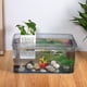 thumbnail image 5 of 2 macetas colgantes para acuario, cestas para plantas acuáticas, macetas para plantas acuáticas vivas, 5 of 8