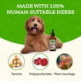 thumbnail image 4 of Extracto de hierbas Animal Essentials Slippery Elm, 30 ml, para perros y gatos, 4 of 8