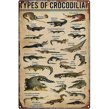 Metal Tin Sign Types of Crocodilian Tin Sign Vintage Bar Club Cave Home Kitchen Rustic Wall Art Decor Funny Sign 12x8 Inch