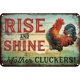thumbnail image 1 of Placa Metal Vintage Pollos Pintura Hierro Rectangular Arte Pared Bar 30x20cm, 1 of 10