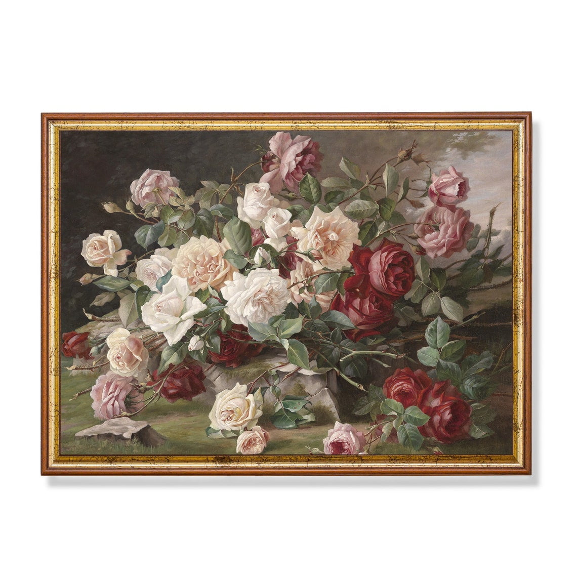 Vintage Rose Still Life Wall Art Print Antique Floral Botanical Bedroom And Living Room Decor