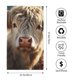thumbnail image 2 of Balery Adorable Flower Field Cow Toalla de Microfibra Premium con Estampado – 27.5x16 pulgadas, Alta Absorción, Suave y Aterciopelada, Secado Rápido, 2 of 6