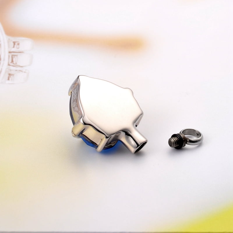 Anavia Birthstone Heart Cremation Necklace Stainless Steel Memorial Jewelry Urn Ashes Holder Container with Free Funnel Kit and Velvet Jewelry Box [March]