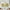 Sunflower 1, variant on Wooden Barn Door Kitchen Curtains: Farmhouse Vintage Plank Striped Short Cafe Curtains Decor for Living Room Tier Curtains for Bathroom Rod Pocket Window Drapes 36 Inch Length 2 Panels Set