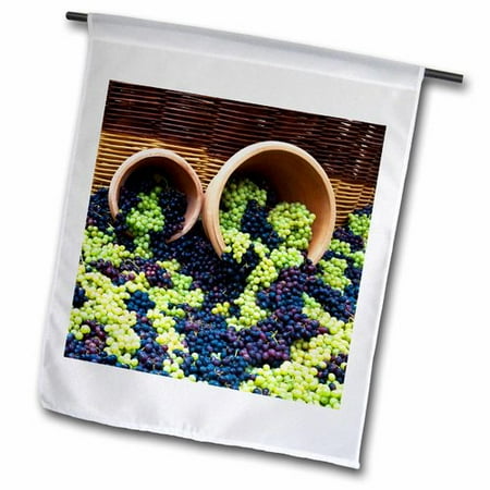 3dRose Fresh Grapes at Harvest Festival.  Garden Flag  18 by 27-Inch