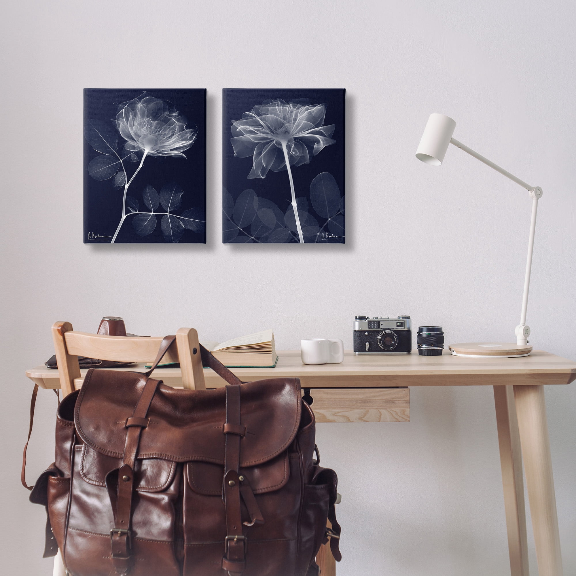 Stupell Industries X-Ray Blossom on Black Botanical & Floral Photography Gallery Wrapped Canvas Art Print Wall Art, 16 x 20, Set of 2