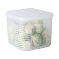 thumbnail image 1 of WHEANG Vegetable Box Garlic Fruit Green Slices Fresh-keeping Refrigerator And Kitchen，Dining Bar, 1 of 8