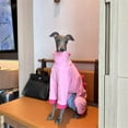 thumbnail image 5 of UOSIA Italian Greyhound Whippet Dog Fleece Dinosaur Onesie, Turtleneck Costume Outfit, 5 of 7
