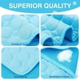 thumbnail image 3 of Summer Cooling Mat for Dogs Cats Self Dog Cooling Mat Breathable Pet Crate Pad Portable & Washable Pet Cooling Blanket for Outdoor Home (59"x39", Blue), 3 of 6