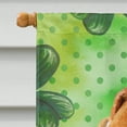 thumbnail image 3 of Carolines Treasures BB9824CHF Fox Terrier St Patricks Flag Canvas House Size  Large multicolor, 3 of 4