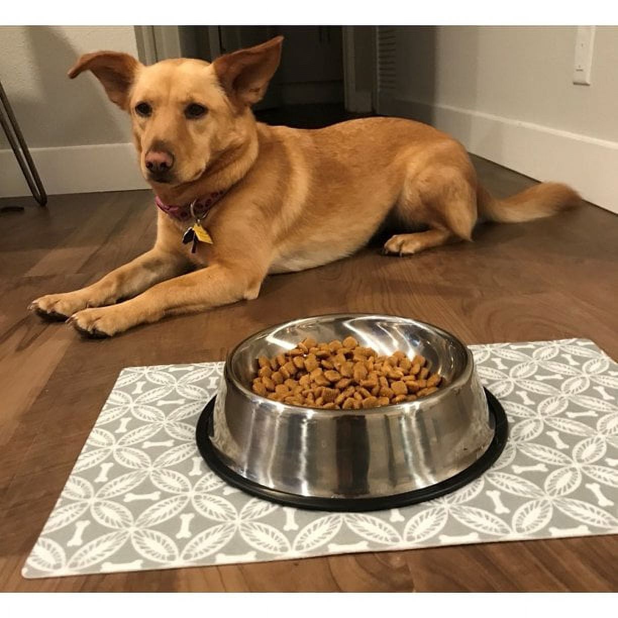Drymate Pet Placemat, Dog Food Mat or Cat Food Mat - Machine Washable, 100% Phthalate and BPA Free
