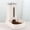White, variant on Automatic Indoor Pet Feeder and Water Dispenser Set for Cats and Dogs High-Capacity Auto Feeding System with Non Automatic Pet Bowl Platform Competition Title