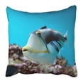 thumbnail image 1 of RYLABLUE Colorful Aquarium Underwater Of Tropical Fish Blue Sea Pillowcase 16x16 inch, 1 of 1