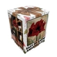 thumbnail image 3 of Amaryllis Kit Red Lion - Gift Box - Large Bulb - Pot and Soil - Netherland, 3 of 4