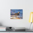 thumbnail image 4 of Majestic Sandpiper at the Edge of a Pond Print Animal Wall Art Wildlife Canvas Prints Wall Art Ready to Hang Unframed, 4 of 18