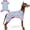 01# Flamingo, variant on KYEESE Dog Pajamas, Whale Pattern Dog Pjs, Dog Pajamas for Small Dogs, S