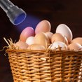thumbnail image 1 of KAKOWELY 1pc Led Lamp For Dark Eggs Egg Inspection Iron Plastic Small Flashlight, 1 of 8