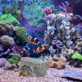 thumbnail image 2 of Shisuyan Grotte pour Reptiles Vivante Terrarium Cachette Décorative pour Reptiles Accessoire de Terrarium, 2 of 8