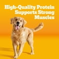 thumbnail image 6 of Pedigree High Protein Grilled Steak & Vegetable Flavor Adult Dry Dog Food, 14 lb Bag, 6 of 9