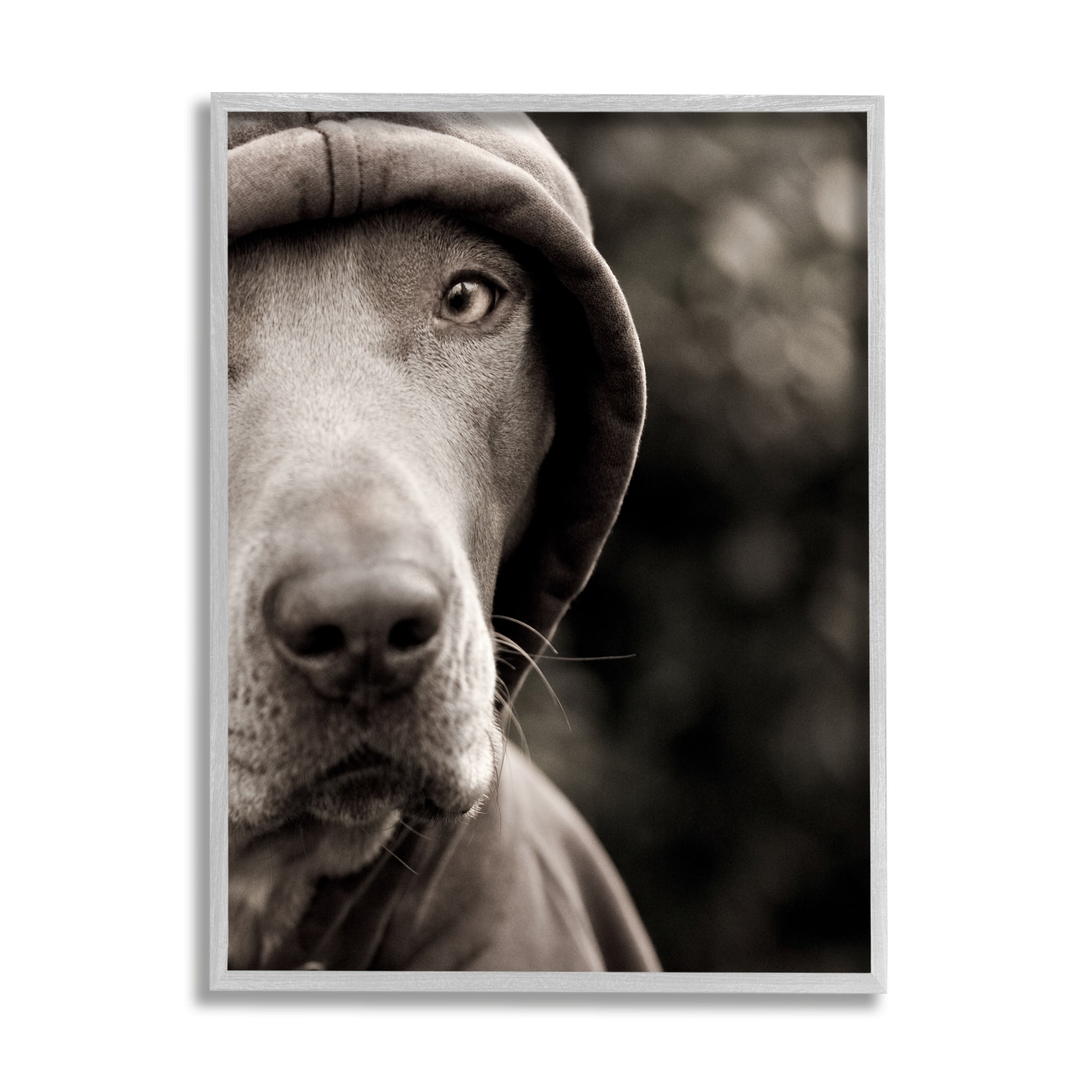 Stupell Industries Dog Wearing Hooded Sweater Close-Up Monochrome Photography Photograph Gray Framed Art Print Wall Art, Design by Michael Brian