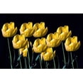 thumbnail image 2 of Putman, Tammy 18x13 Gold Ornate Wood Framed with Double Matting Museum Art Print Titled - Yellow Tulips, 2 of 4