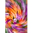 thumbnail image 2 of Taylor, Douglas 17x24 White Modern Wood Framed Museum Art Print Titled - Plumage of Flowers, 2 of 4