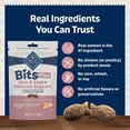 thumbnail image 4 of Blue Buffalo Bits Skin & Coat & Immunity Salmon Dog 99g, 4 of 7