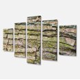 thumbnail image 2 of Thick Tree Skin Close Up - Floral Canvas Art Print, 2 of 3