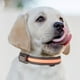 thumbnail image 1 of Juego de collar y correa para perros USB y de carga solar - Collar de seguridad LED de doble uso para mascotas con tamaño de cuello ajustable, 1 of 2
