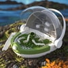 Reptile Breeding Tanks Transparent Live Food Storage Viewing Box,Aquarium Terrarium Visually Feeding Box Spiders Scorpions