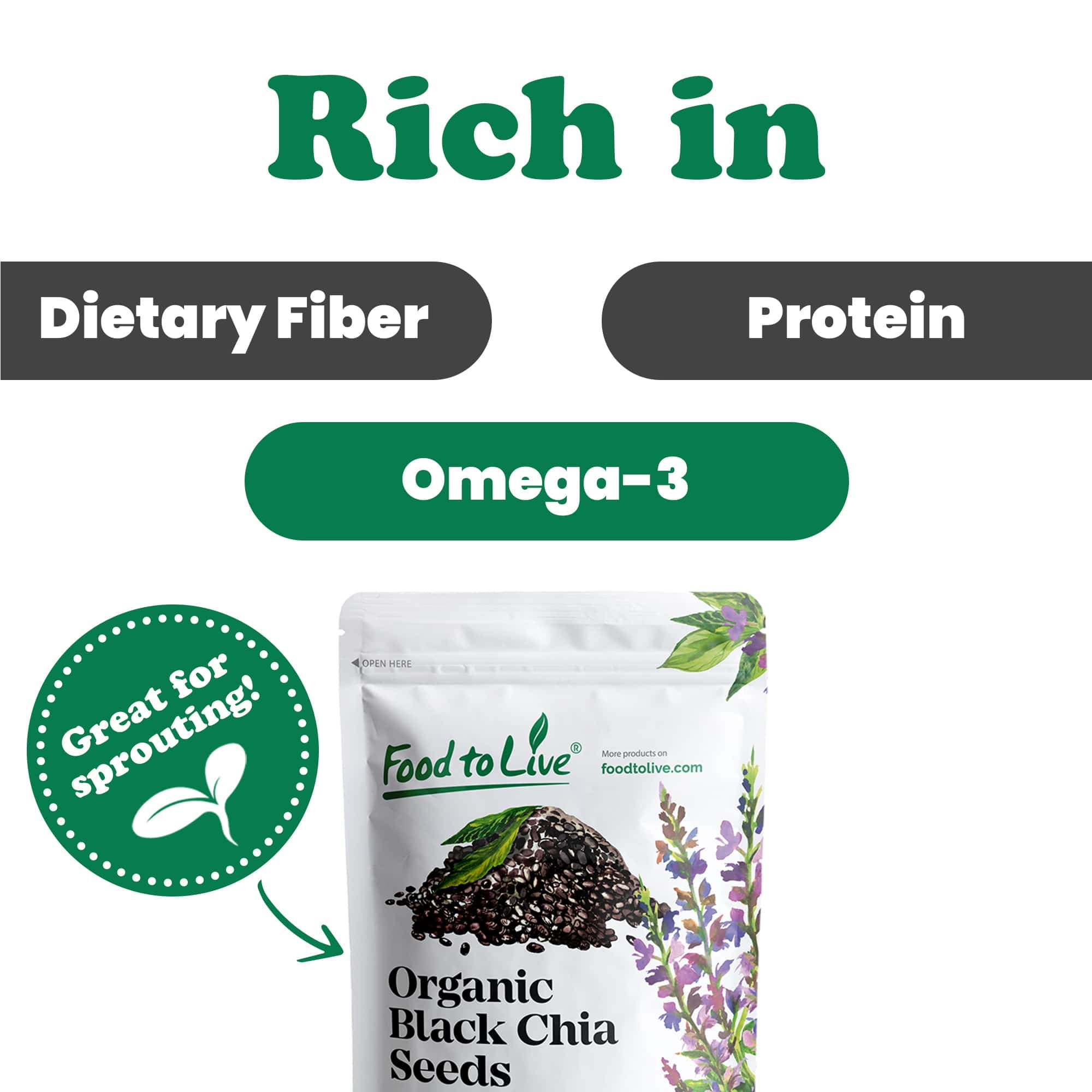 Organic Black Chia Seeds, 20 Pounds — Non-GMO, Sproutable, Kosher, Raw, Vegan — by Food to Live